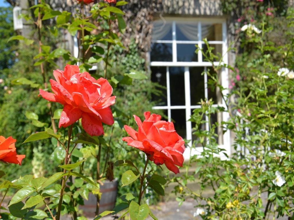 Powis House B&B Stirling Buitenkant foto